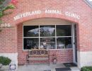 meyerland animal clinic
