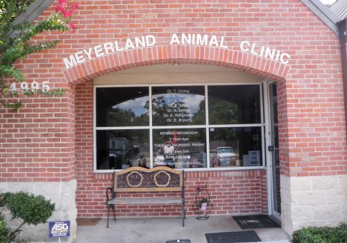 meyerland animal clinic